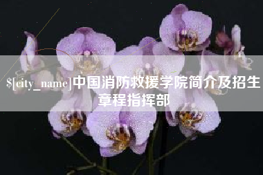 莱阳中国消防救援学院简介及招生章程指挥部