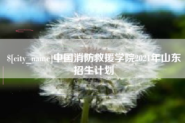 莱阳中国消防救援学院2021年山东招生计划