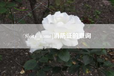 莱阳消防证的查询