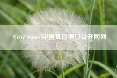 莱阳中国执行信息公开网网