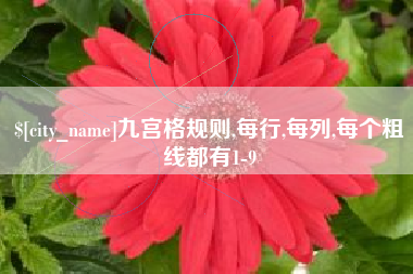 莱阳九宫格规则,每行,每列,每个粗线都有1-9