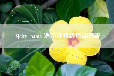 莱阳消防证初级查询系统