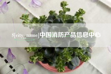 莱阳中国消防产品信息中心