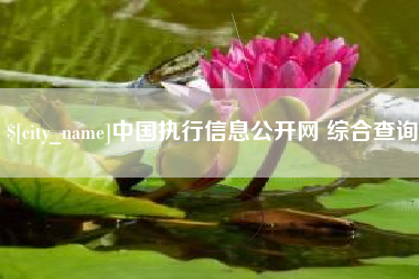 莱阳中国执行信息公开网 综合查询