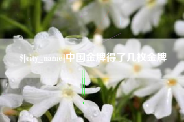莱阳中国金牌得了几枚金牌