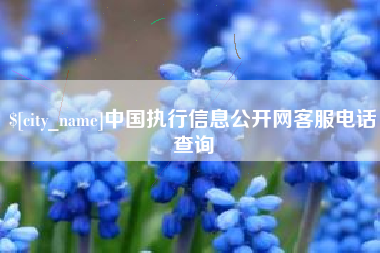 莱阳中国执行信息公开网客服电话查询