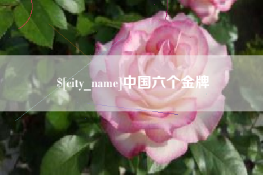 莱阳中国六个金牌