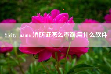 莱阳消防证怎么查询,用什么软件