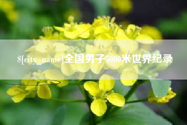 莱阳全国男子5000米世界纪录