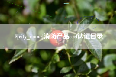 莱阳消防产品cccf认证目录
