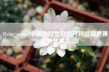 莱阳中国执行信息公开网信息更新时间是多久