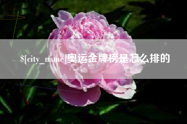 莱阳奥运金牌榜是怎么排的