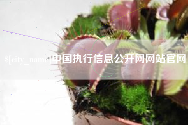 莱阳中国执行信息公开网网站官网