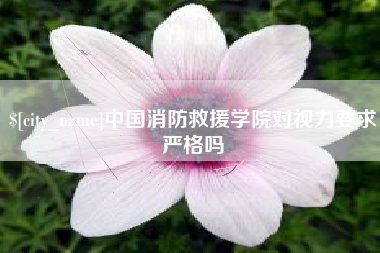 莱阳中国消防救援学院对视力要求严格吗
