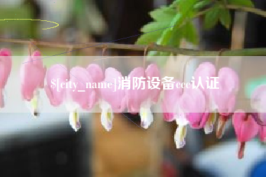 莱阳消防设备ccc认证