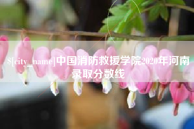 莱阳中国消防救援学院2020年河南录取分数线