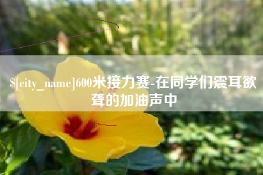 莱阳600米接力赛-在同学们震耳欲聋的加油声中