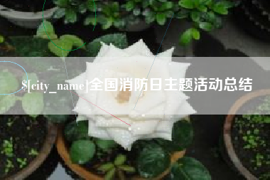 莱阳全国消防日主题活动总结