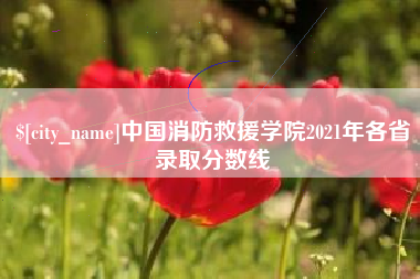 莱阳中国消防救援学院2021年各省录取分数线