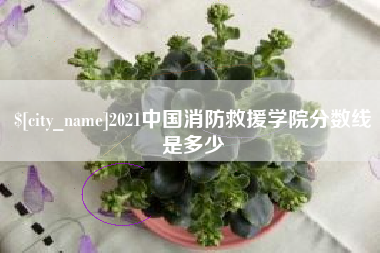 莱阳2021中国消防救援学院分数线是多少