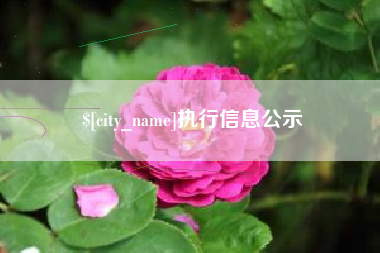 莱阳执行信息公示