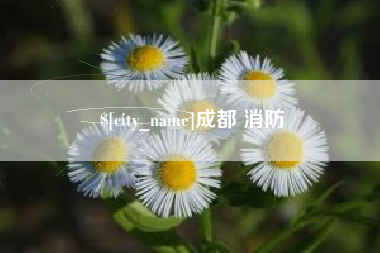 莱阳成都 消防