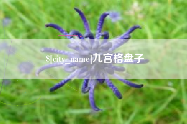 莱阳九宫格盘子
