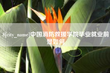 莱阳中国消防救援学院毕业就业前景如何