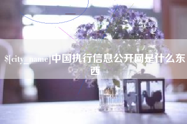 莱阳中国执行信息公开网是什么东西