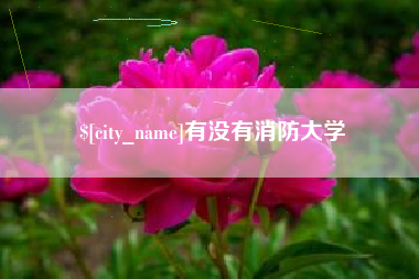 莱阳有没有消防大学
