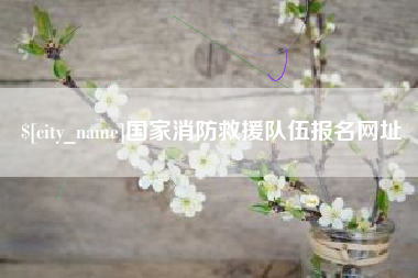莱阳国家消防救援队伍报名网址