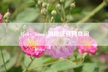 莱阳消控证官网查询