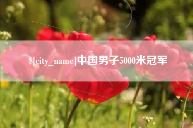 莱阳中国男子5000米冠军