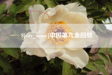 莱阳中国第九金回放