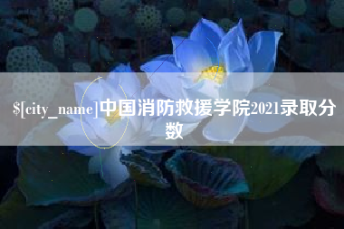 莱阳中国消防救援学院2021录取分数