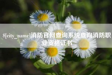 莱阳消防官网查询系统查询消防职业资格证书