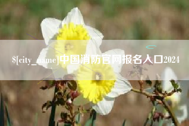 莱阳中国消防官网报名入口2024