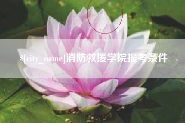 莱阳消防救援学院报考条件