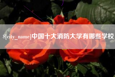 莱阳中国十大消防大学有哪些学校