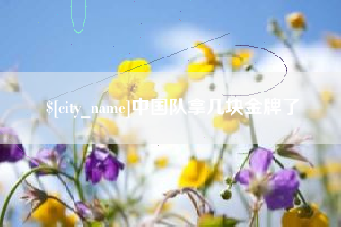 莱阳中国队拿几块金牌了