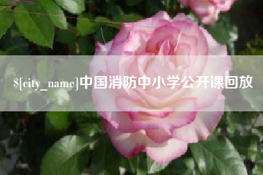 莱阳中国消防中小学公开课回放