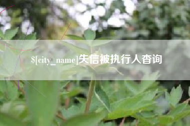 莱阳失信被执行人杳询