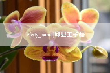 莱阳邱县王子磊