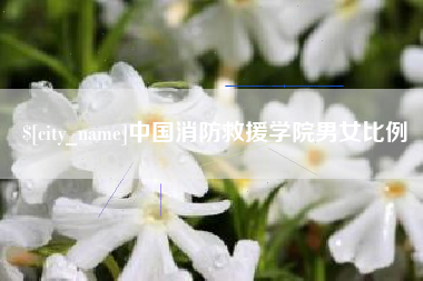 莱阳中国消防救援学院男女比例