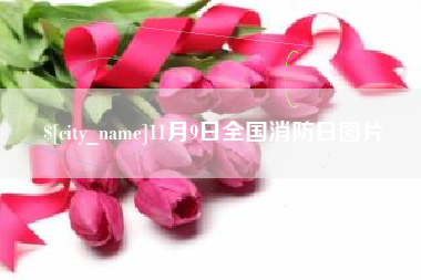 莱阳11月9日全国消防日图片