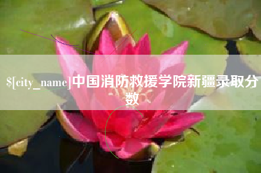 莱阳中国消防救援学院新疆录取分数