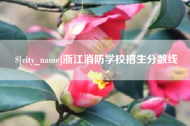 莱阳浙江消防学校招生分数线