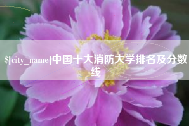 莱阳中国十大消防大学排名及分数线