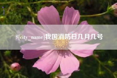 莱阳我国消防日几月几号