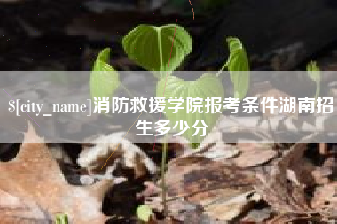 莱阳消防救援学院报考条件湖南招生多少分